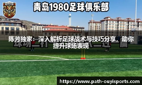 陈芳独家：深入解析足球战术与技巧分享，助你提升球场表现